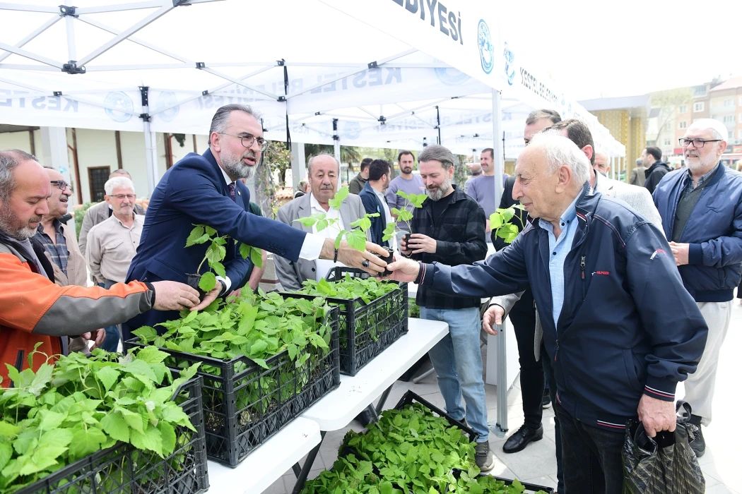 Tarım şehri Bursa Kestel’de Ahududu seferberliği