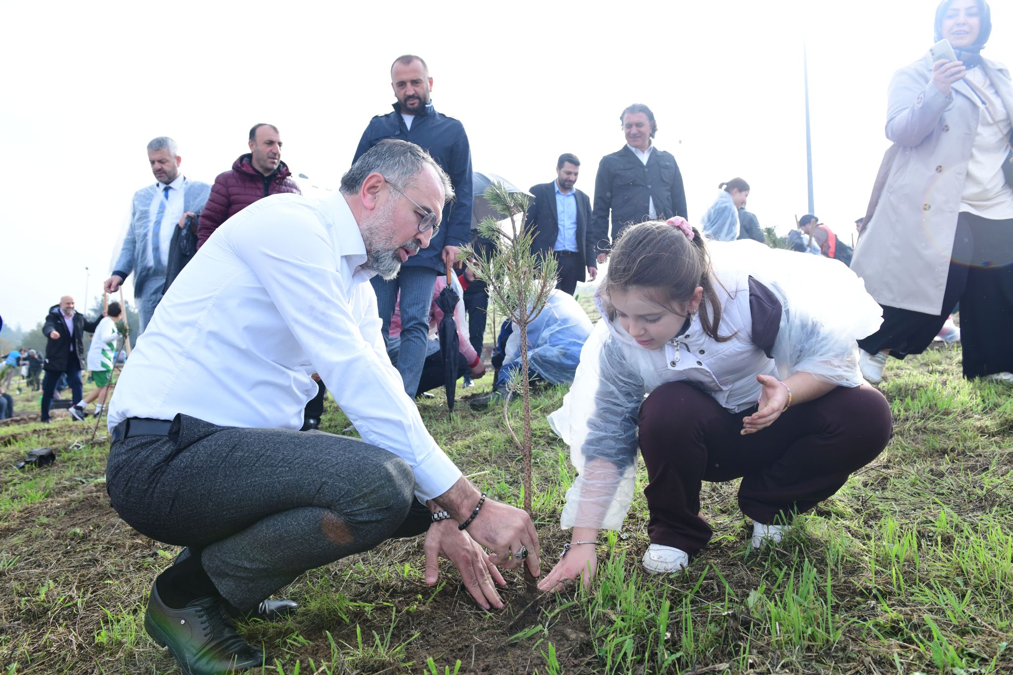 5000'den Fazla Bitki ve Çiçek Dikimi