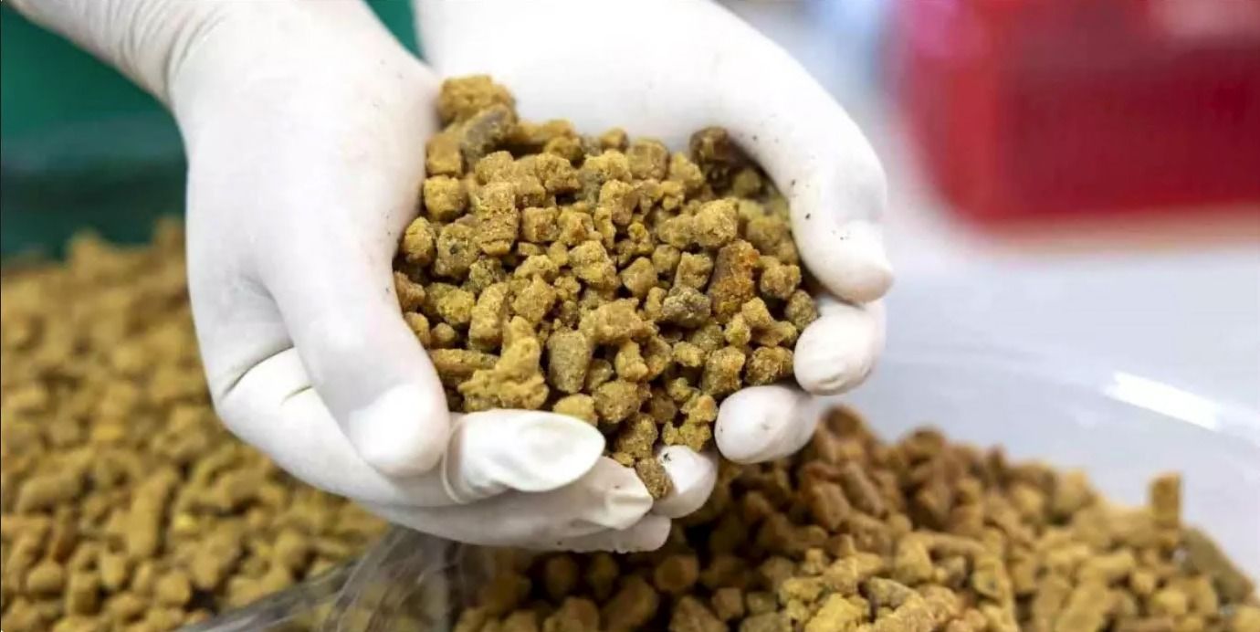 Sıfır Atık Yatırımlarımız